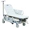Camas de hospital ajustables manuales lujosas con los carriles laterales para la atención sanitaria paciente